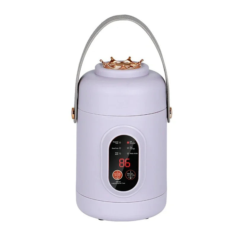 Portable Electric Kettle Rice Cooker Lunch Box Mini Soup Stew Slow Cooking Pot Porridge Food Steamer Noodles Pasta Heater Hotpot